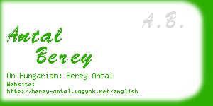 antal berey business card